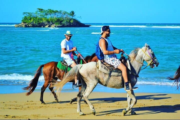 Beach Horseback Ride in Puerto Plata: Jungle Path to Ocean Gallops