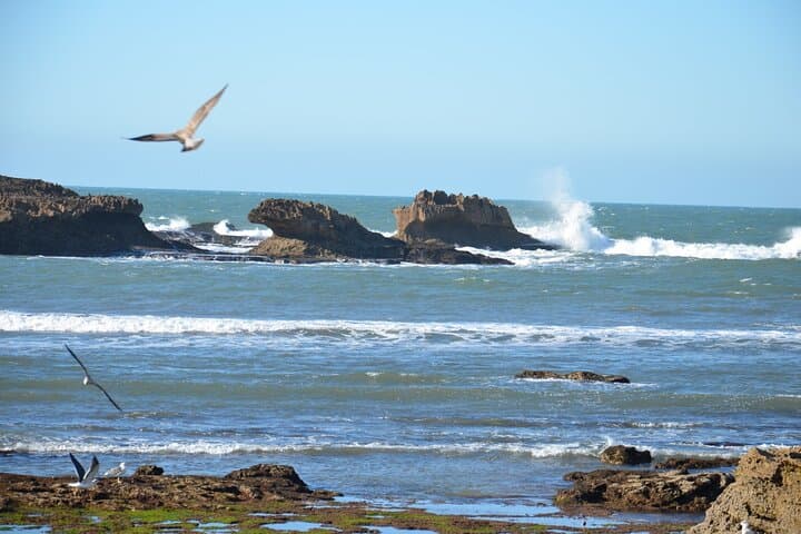 Essaouira Day Trip from Marrakech: Coastal Medina, Argan Cooperatives and Beaches photo 2