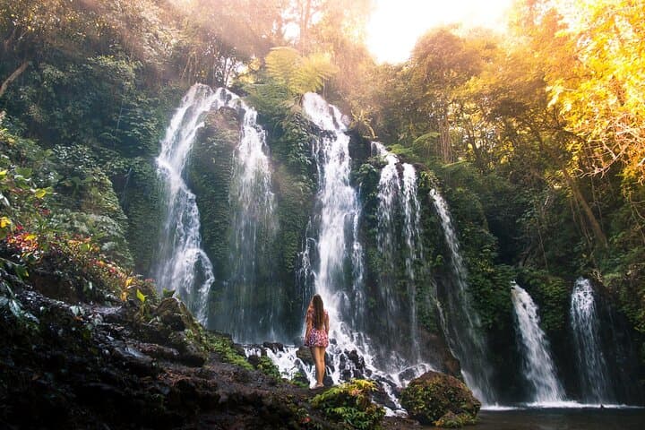 Bali Hidden Gems: Nungnung & Banyuwana Waterfall Day Trip with Jatiluwih Rice Terrace