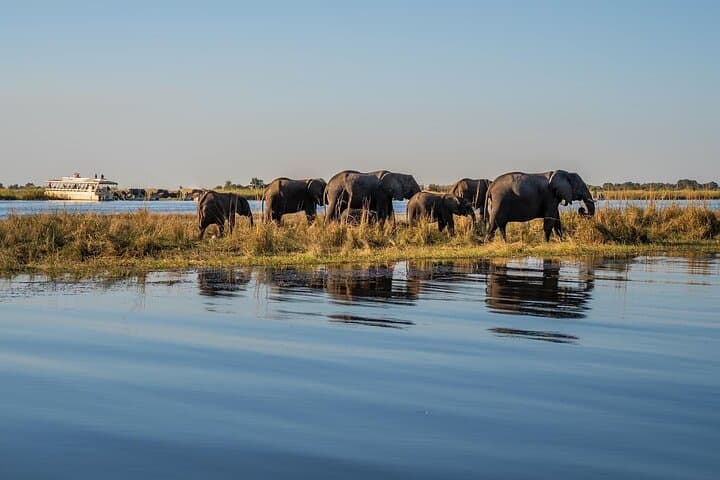 2-Day Chobe National Park Camping Safari — Overnight Game Drives & River Cruise photo 3