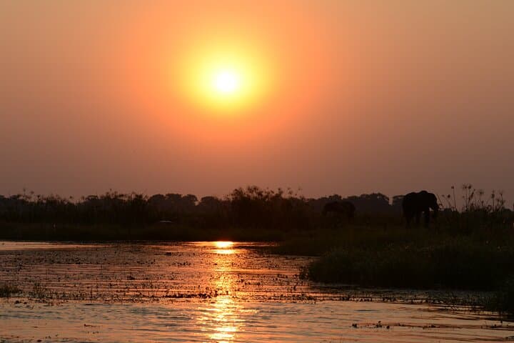 2-Day Chobe National Park Camping Safari — Overnight Game Drives & River Cruise photo 4