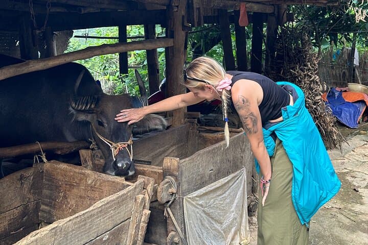 Ha Giang Loop 3-Day Motorbike Adventure from Hanoi — Premium Easy Rider Tour photo 5