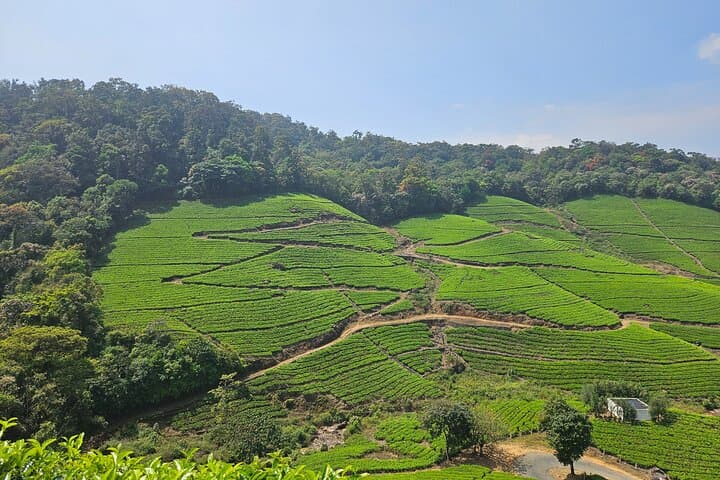 Anakulam Jeep Safari from Munnar: Private Half-Day Elephant Herd & Waterfall Excursion photo 3