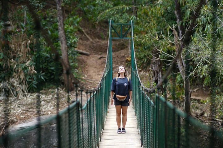 Anakulam Jeep Safari from Munnar: Private Half-Day Elephant Herd & Waterfall Excursion photo 4