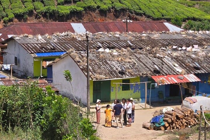 Anakulam Jeep Safari from Munnar: Private Half-Day Elephant Herd & Waterfall Excursion photo 5