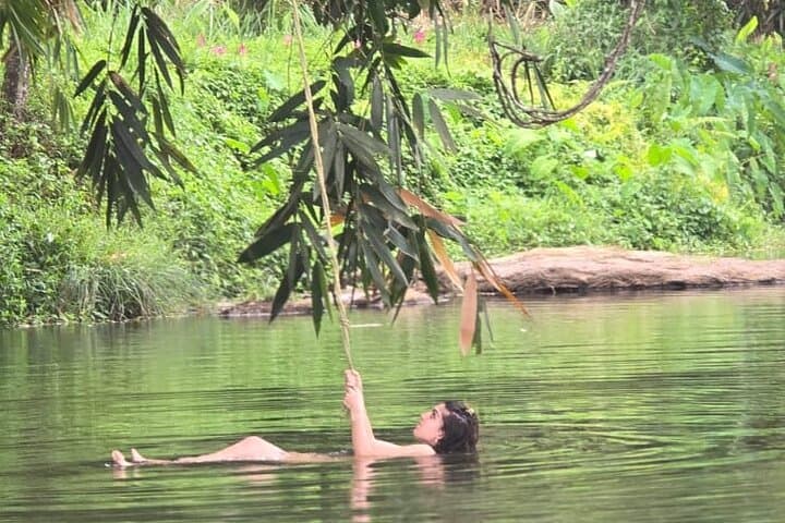 Anakulam Jeep Safari from Munnar: Private Half-Day Elephant Herd & Waterfall Excursion photo 6