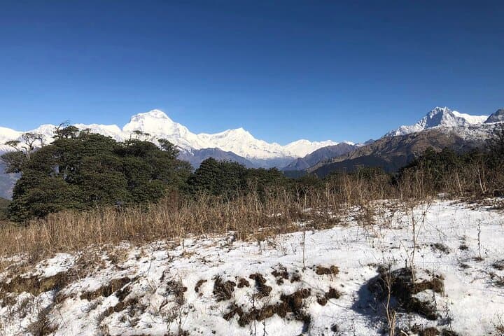 Annapurna Circuit Trek 12 Days — Classic 12-Day Himalayan Loop Across Thorong La photo 4