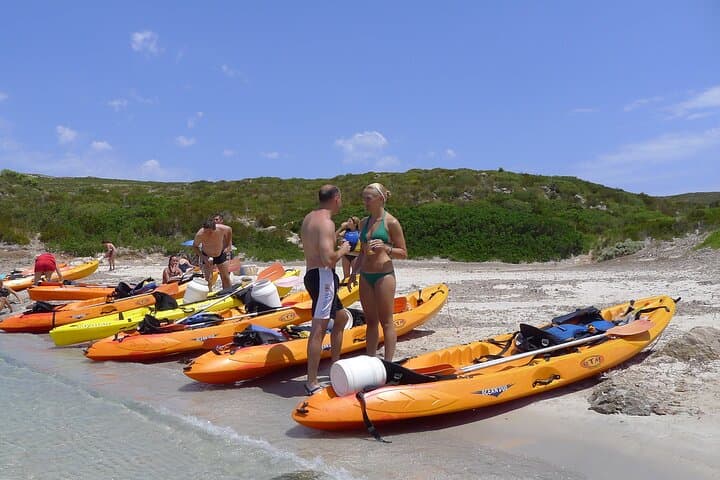 Paddle and Snorkel the Northern Menorca Marine Reserve photo 5