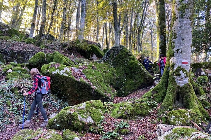 Walk the Volcano Slopes of Monte Amiata — Val d'Orcia Summit Walk photo 6
