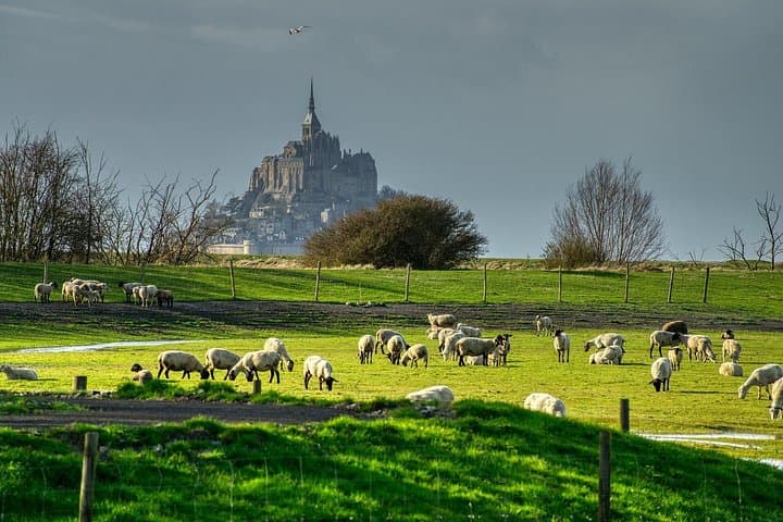 Private Walking Tour of Mont Saint-Michel: 2-Hour Abbey, Ramparts & Bay Experience photo 3