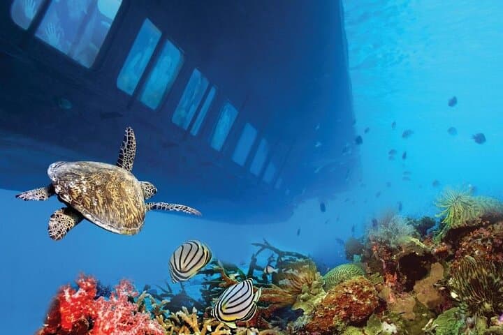 Hurghada Royal Submarine Cruise with Snorkel Stop: Red Sea Reef Viewing from Below photo 5