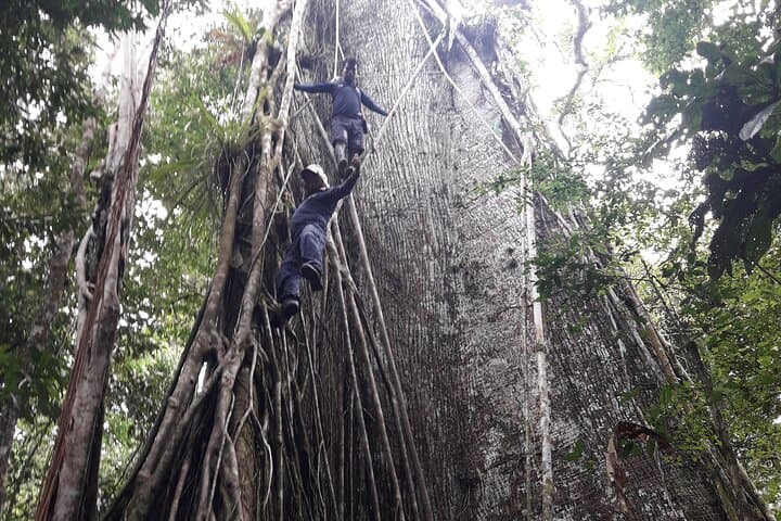 Amazon Paradise: 5-Day Pacaya Samiria Expedition from Iquitos photo 6