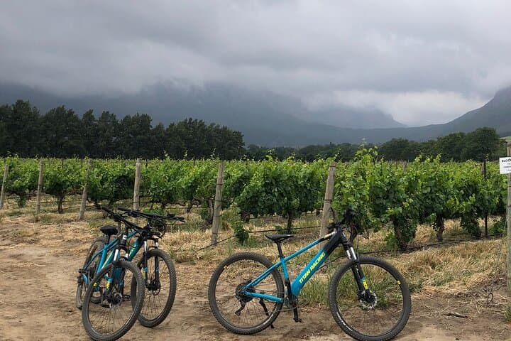 Franschhoek E‑Bike Wine Tour: Half‑Day Cycling Through Vineyards photo 2
