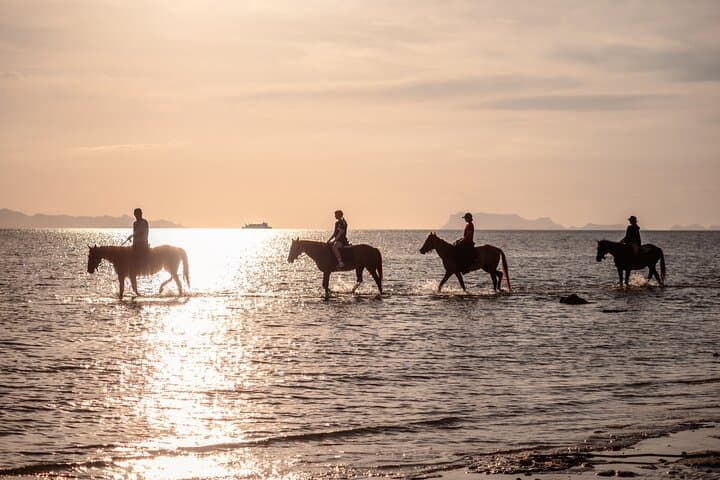 Sunset Horseback Ride on Nai Yang Beach, Phuket — Evening Beach Equestrian Tour photo 5