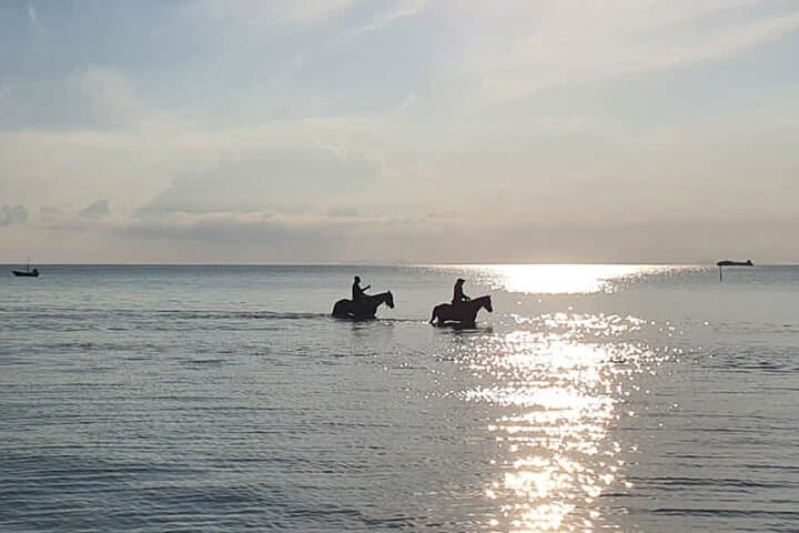 Sunset Horseback Ride on Nai Yang Beach, Phuket — Evening Beach Equestrian Tour photo 6