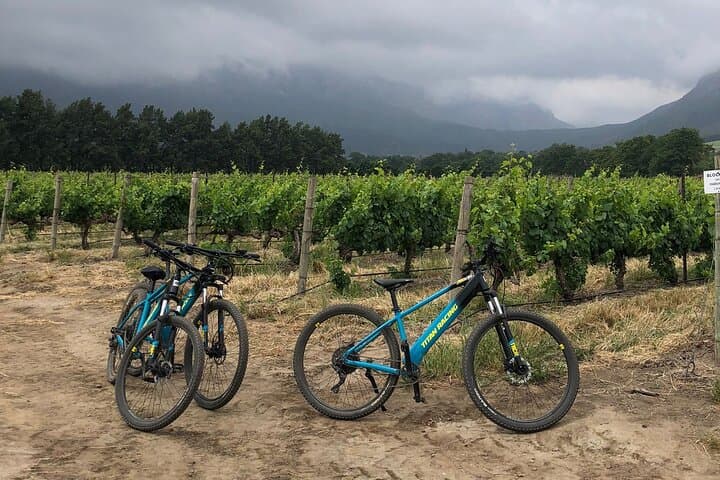 Franschhoek Half-Day MTB Cycling & Wine Tour: Ride Vineyards and Tastings photo 2