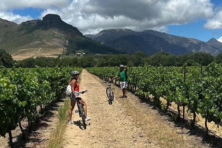 Franschhoek Half-Day MTB Cycling & Wine Tour: Ride Vineyards and Tastings photo 4
