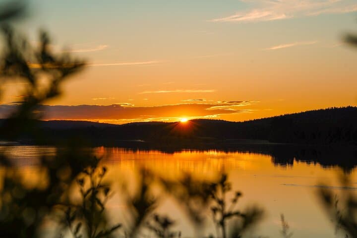 Arctic Wilderness Sunset Hike from Rovaniemi — Midnight Sun, Firecraft & Survival Skills photo 4