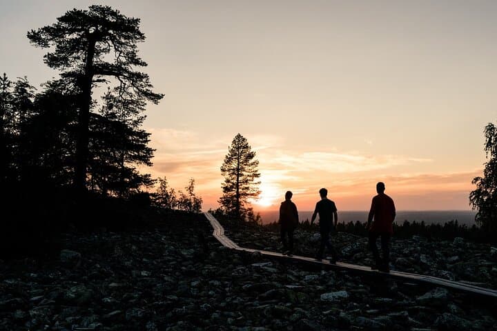 Arctic Wilderness Sunset Hike from Rovaniemi — Midnight Sun, Firecraft & Survival Skills photo 3