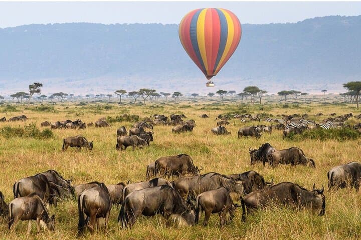 3-Day Private Safari to Tarangire, Ngorongoro & Lake Eyasi from Arusha photo 1