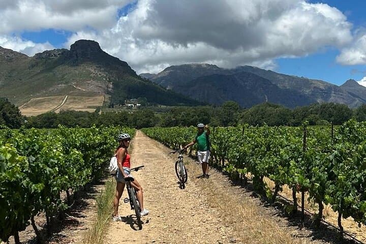 Franschhoek E‑Bike Wine Tour: Half‑Day Cycling Through Vineyards photo 3
