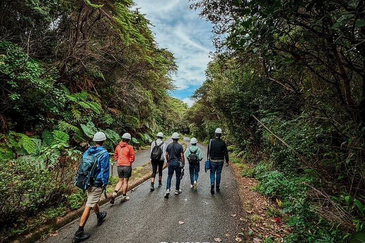 Exploring Poás Volcano and Coffee Plantations: A Full-Day Adventure from San José photo 4