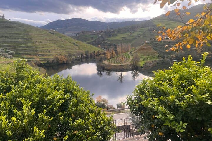 Private Douro Valley Day Trip from Porto with Rabelo Boat and Winery Visits