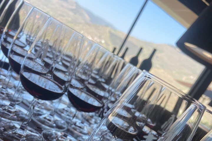 Private Douro Valley Day Trip from Porto with Rabelo Boat and Winery Visits photo 3