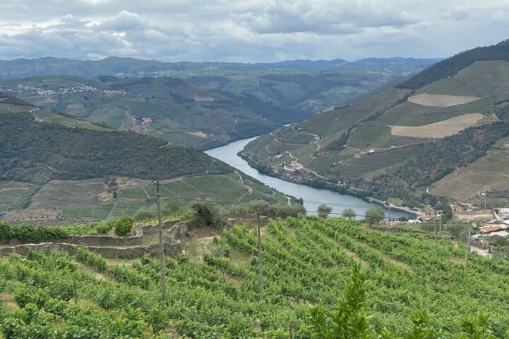 Private Douro Valley Day Trip from Porto with Rabelo Boat and Winery Visits photo 6