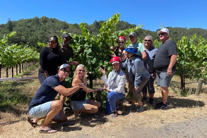 Sonoma Trike and Hike: 3-Hour Electric Trike Tour Through Wine Country photo 4