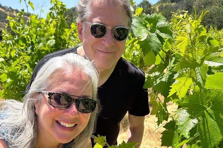 Sonoma Trike and Hike: 3-Hour Electric Trike Tour Through Wine Country photo 6