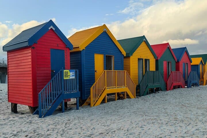 Cape Peninsula Tour: Full-Day Scenic Drive, Wildlife & Coastal Highlights from Cape Town photo 4