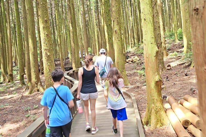 Jeju East Coast: Half- or Full-Day Sightseeing Tour from Jeju City Port photo 5