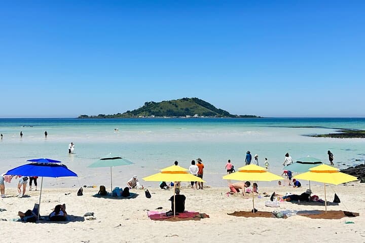 West Jeju Healing Day Tour: Gotjawal Forest, Caves & Dolphin Watching