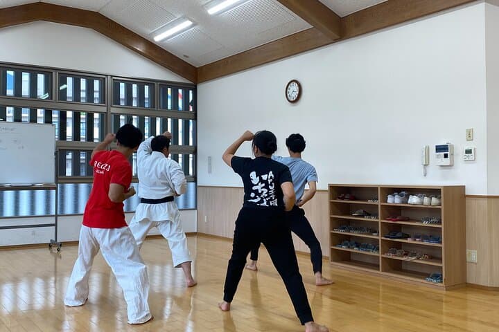Karate Workshop in Beppu: Master Essential Moves in 90 Minutes photo 6