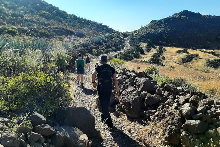 Barranco de las Vacas Caves & Canarian Village — Guided Half-Day Tour photo 3