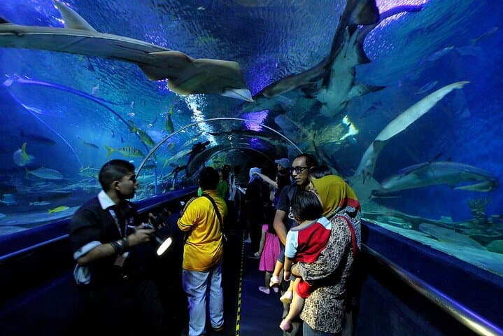 Aquaria KLCC Admission with Return Transfer — Kuala Lumpur Aquarium Experience photo 4
