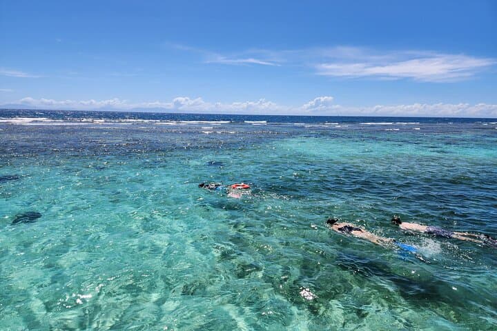 Roatán Monkey & Sloths Sanctuary and Sandbar Snorkel Adventure photo 4