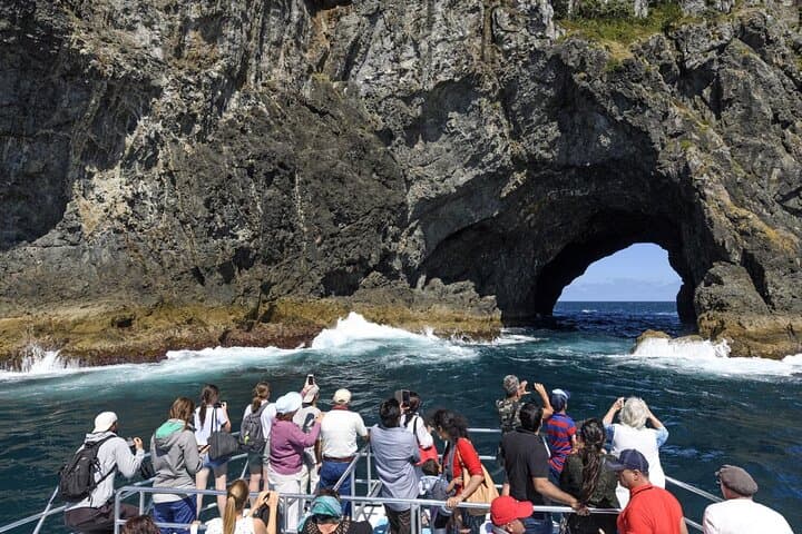 Bay of Islands Day Tour from Auckland — Hole in the Rock Cruise & Dolphin Watching photo 2