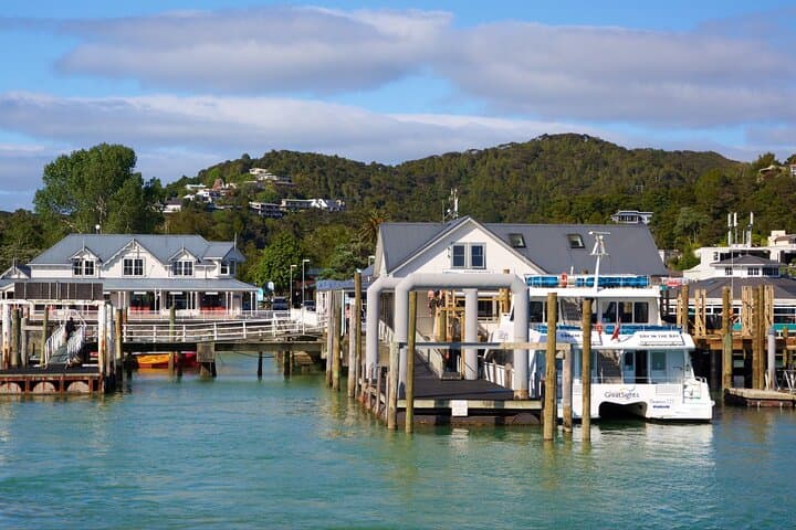 Bay of Islands Day Tour from Auckland — Hole in the Rock Cruise & Dolphin Watching photo 3