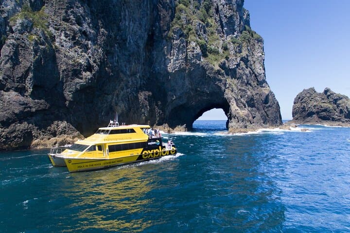 Bay of Islands Day Tour from Auckland — Hole in the Rock Cruise & Dolphin Watching