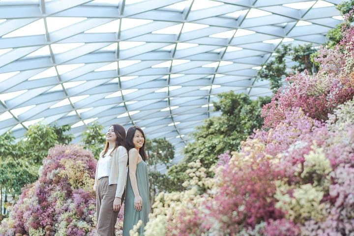 Jewel Changi Airport: Rain Vortex, Canopy Park & Family Attractions photo 3