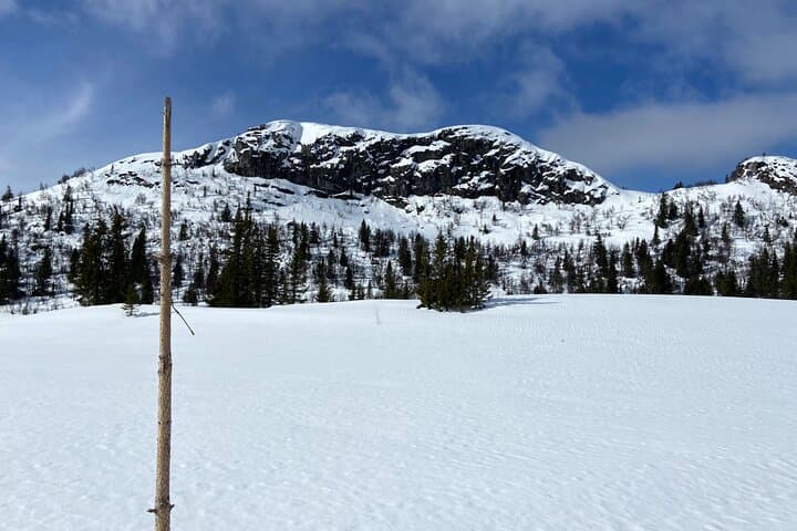 Private Norway in a Nutshell: Oslo to Bergen Scenic Car Tour photo 2