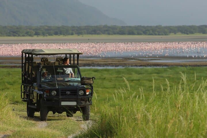 3-Day Private Safari to Tarangire, Ngorongoro & Lake Eyasi from Arusha photo 4