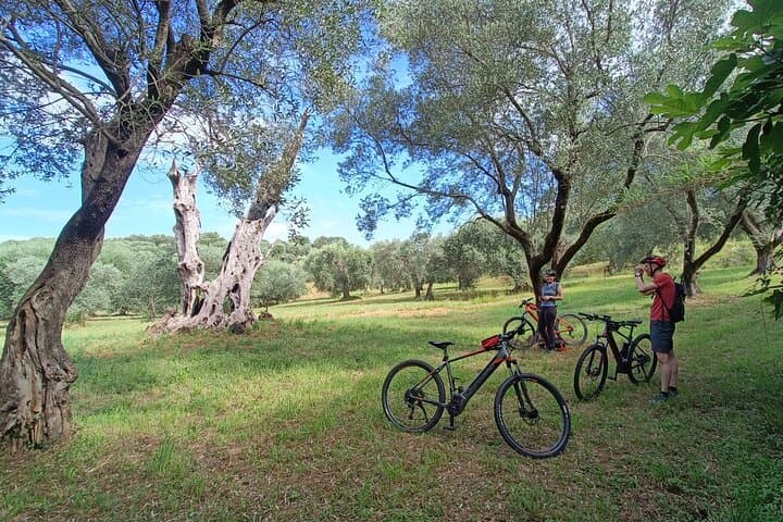 E-Bike Tour to Semproniano & Rocchette: Honey, Hillforts and Maremma Views photo 4