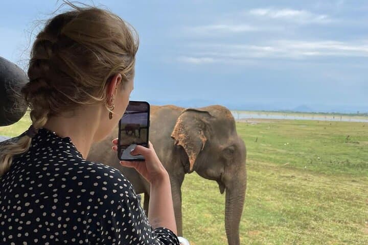 Udawalawe Half‑Day Private Jeep Safari — See Wild Elephants & Birdlife photo 1