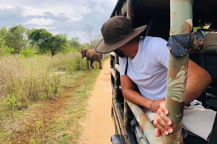 Udawalawe Half‑Day Private Jeep Safari — See Wild Elephants & Birdlife photo 2