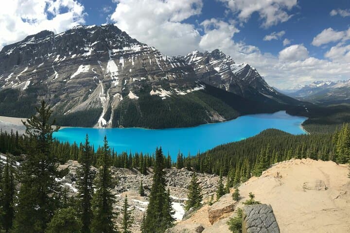 Half-Day Banff Scenic Tour: Lake Louise, Peyto Lake, Bow Lake & Crowfoot Glacier photo 4