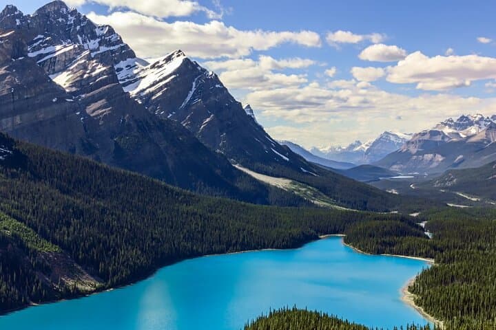 Half-Day Banff Scenic Tour: Lake Louise, Peyto Lake, Bow Lake & Crowfoot Glacier photo 5