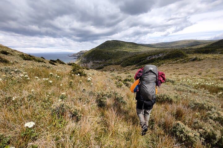 Southern Expedition to Sloggett Bay: Mitre Peninsula Multi-Day Trek from Ushuaia photo 4